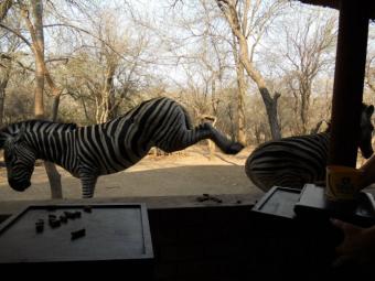 Bush Retreat Bordering Kruger.. Mpumalanga