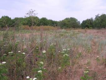REGULATED PLOT OF LAND Kavarna