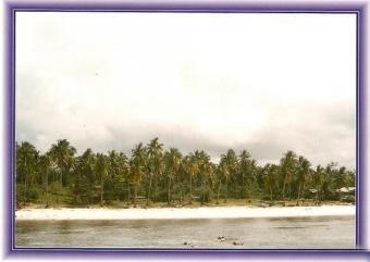 BEAUTIFUL BEACH LOT IN CAMOTES Cebu City