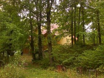 Romanians Mountains remote Villa Breaza