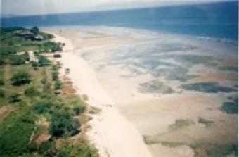 Half acre BEACH lot near PLAYA C Calatagan