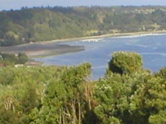 Land for Sale, South of Ch Puerto Montt