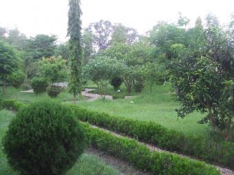 Resort on sale Bardia