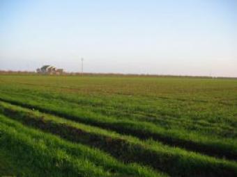 Farm Houses Land Gurgaon