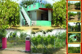 Kewin Farm House,ECR Ponthandalm Chennai