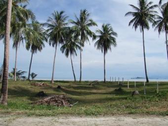 UNIQUE: Land for Sale Ko Samui Ko Samui