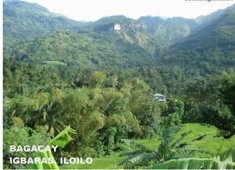24 hec High Bus. Potential Land Iloilo