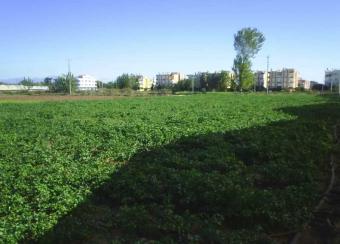 Land for villas Antalya