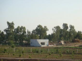 10 20 30 kanal agro farming on c Islamabad