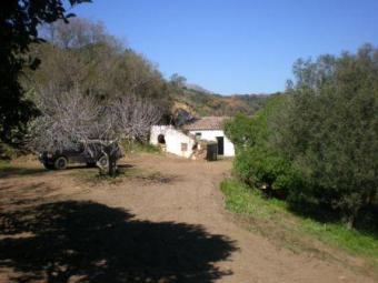 BEAUTIFUL FINCA Estepona
