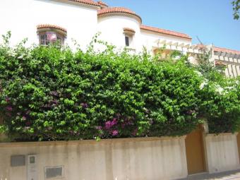Less price  for a Superbe villa Agadir