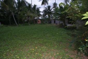 Beach Side Land for Sale Colombbo