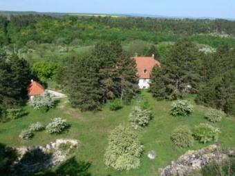 Riding Farm close to Budapest Budapest