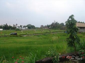 premium land in canggu beach Bali