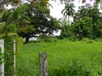 Very beautiful tropical lot Cabarete
