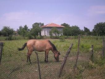 Development land Silistra
