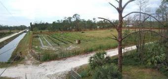  5 Acres land! REDUCED TO SELL Florida