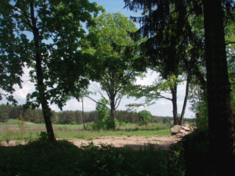 Two  0.5 hectares parcels of lan Vilnius