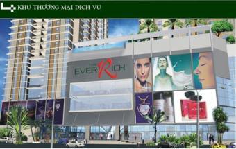 The everrich- apartment for rent Hcmc
