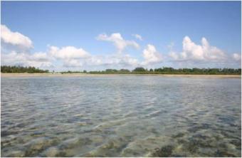 ZANZIBAR TANZANIA LAND IN SALE Zanzibar