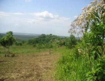 land for sale Entebbe Rd