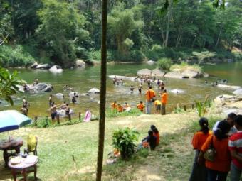 Kithulgala -Running Restaurant Kithulgala