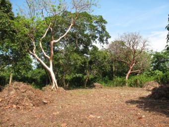 6 Lots opposite Utila Airport Utila