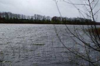 2 ha Land near LAKE in Lithuania Ignalina