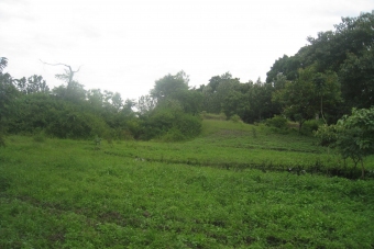 Land for sale Kikatiti Arusha Maji Ya Chai Arusha