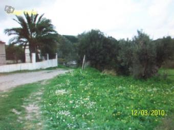 land in rhodes greece Rhodes