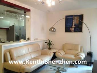 Shenzhen Apartment FuTian CBD/5m Shenzhen