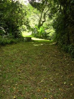 Prime Cocoa Estate Port Of Spain