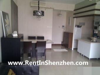 Shenzhen Apartment FuTian CBD/5m Shenzhen