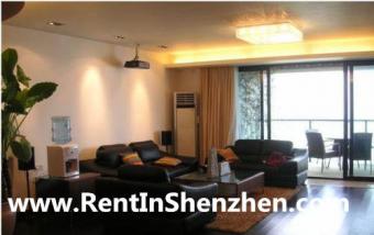 Shenzhen apartment for sale,Peni Shenzhen