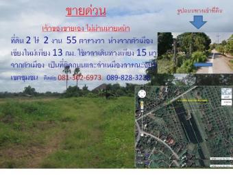 Land for sale (Very cheap) Chiang Mai