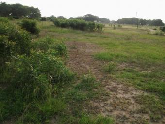 563 ACRES OF LAND FOR REAL ESTAT Accra