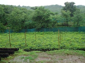 PLOT AT RATNAGIRI AT LOWEST COST Ratnagiri