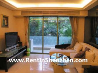Shenzhen FutianCBD apartment,880 Shenzhen