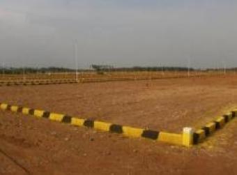 NEW DTP APPROVED PLOT FOR SALE Coimbatore
