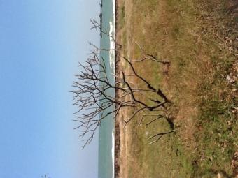 Sea Land for sale, Huahin Huahin