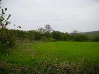 Plot of land near Varna Provadia