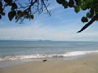 OCEAN FRONT LOTS FOR SALE La Ceiba