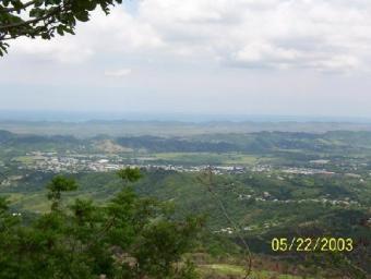 11.7 ACRES OF LAND FOR SALE Sabanas Grande