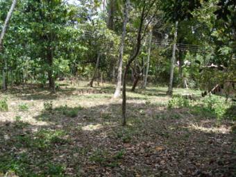 Land for Sale Gampaha