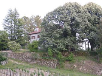 FARM OF THE DOVECOTE Viseu
