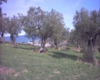 land for sale Vasto