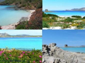 SARDINIA(ITALY-STINTINO)VIEW ON Stintino