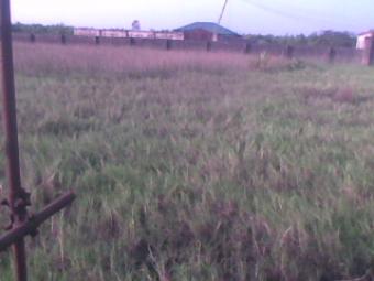 2 plots of land for sale Myoga