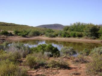 A Fully Fenced Game Reserve Robertson