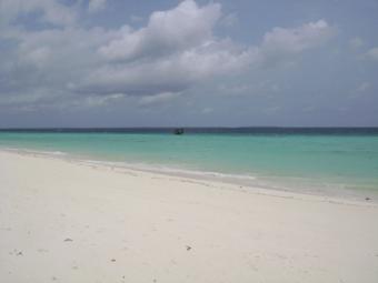 Zanzibar Beach Plots Zanzibar